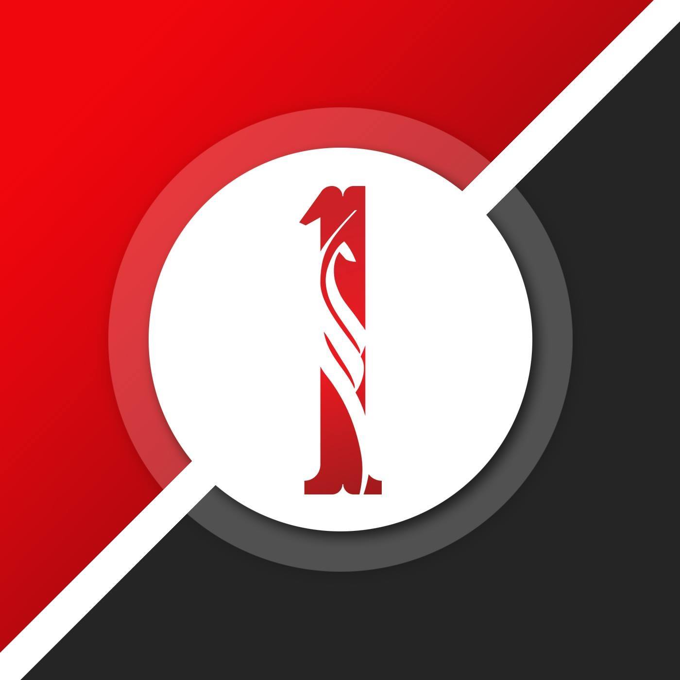1Stop Solutions Inc
